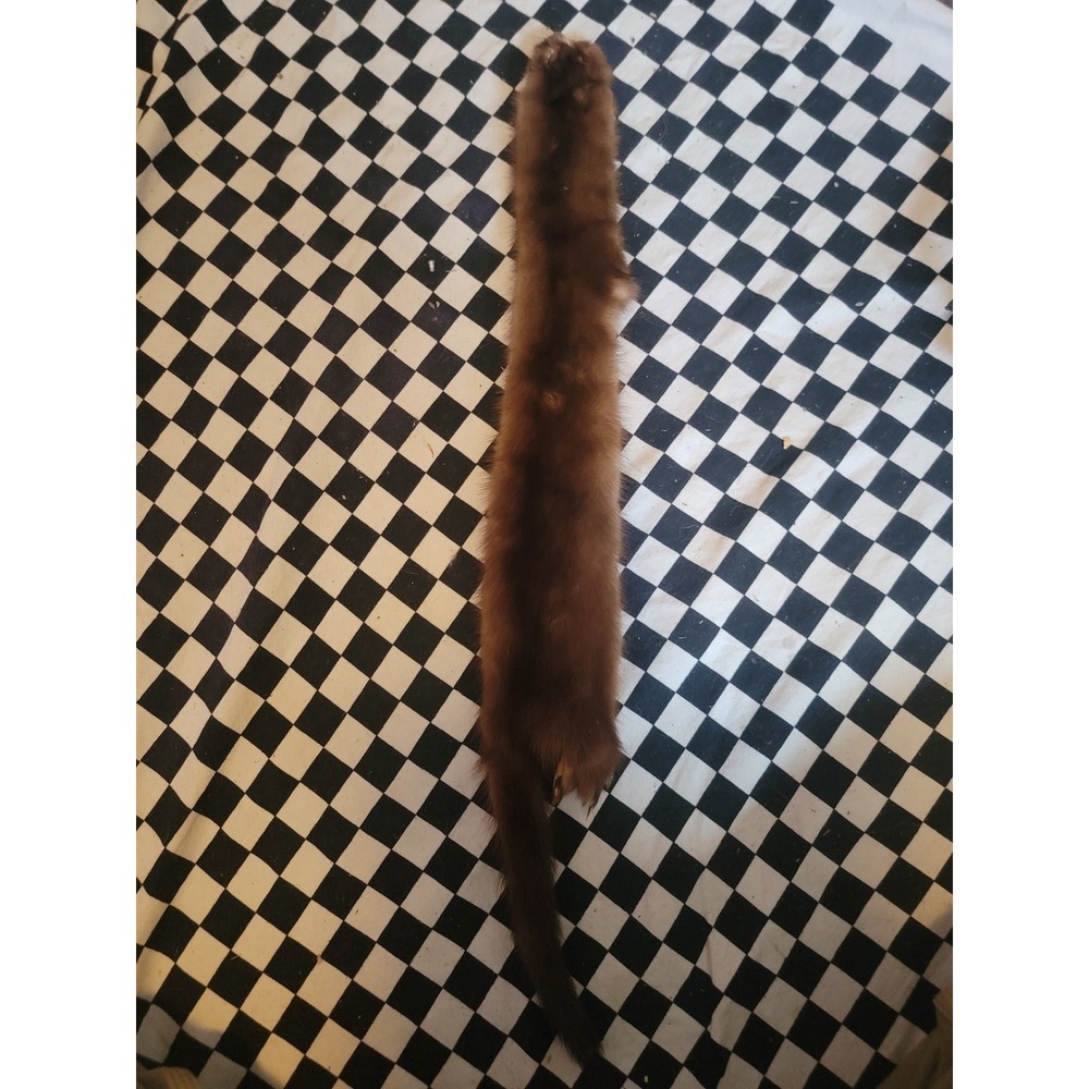 Vintage‎ Real Fur Pelt Stole Mink Brown Taxidermy Craft Costume Prop